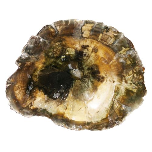 bois-fossilise-mcbf03