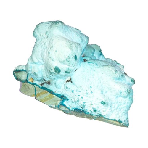 chrysocolle-du-congo-mccs01