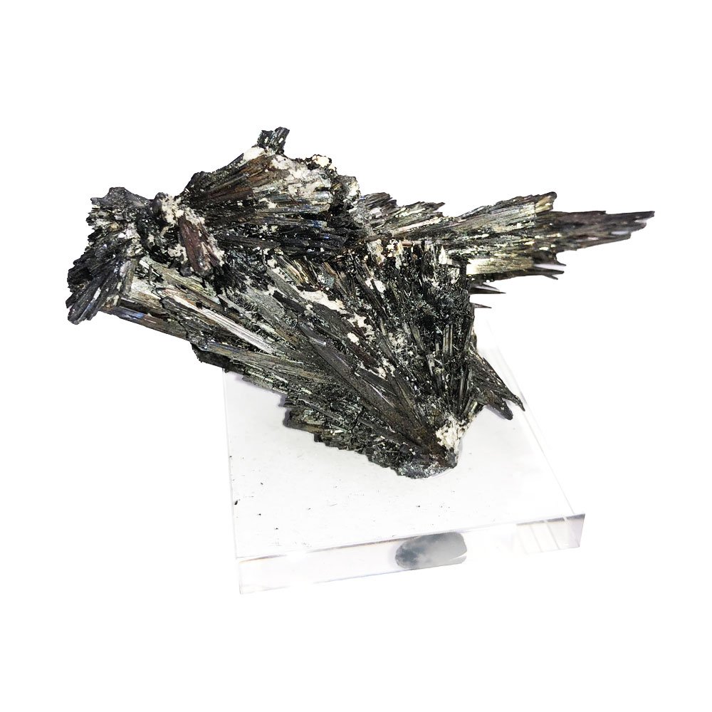 stibine-de-roumanie-mcsti02