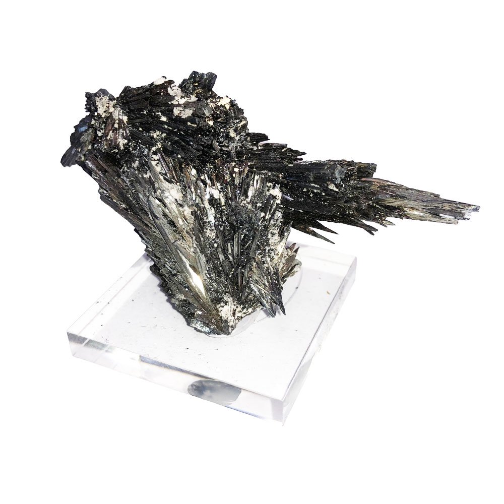 stibine-de-roumanie-mcsti02