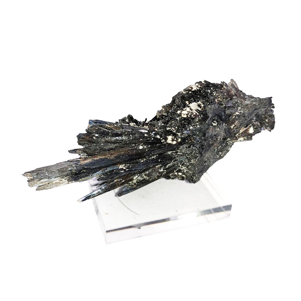 stibine-de-roumanie-mcsti02