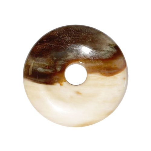 PI Chinois ou Donut Bois pétrifié