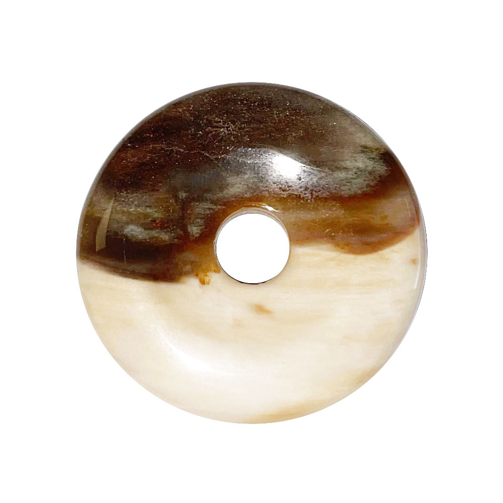 PI Chinois ou Donut Bois pétrifié