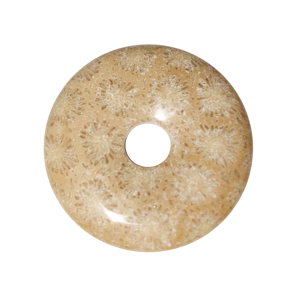 PI Chinois ou Donut Corail fossilisé